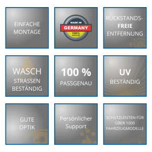 Schutzleisten für VW T5 (langer Radstand) Bj. 2003 - 2014